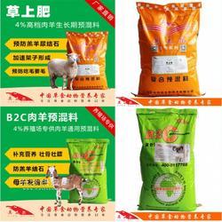 羊吃什么飼料長得快？科學養羊飼料指南
